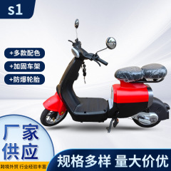 メーカー卸売り国標電気自動車通勤代行高出力男女通用電動自転車二人乗り