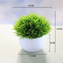 ����Gֲ�Ҿ�С�[���k����С�b����ϼٻ��辰��A�򻨻��Pβ��