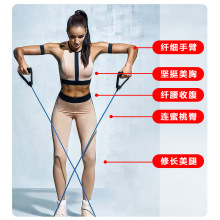 厂家直销TPE多功能瑜伽一字拉力器拉力绳力量训练健身弹力绳代发