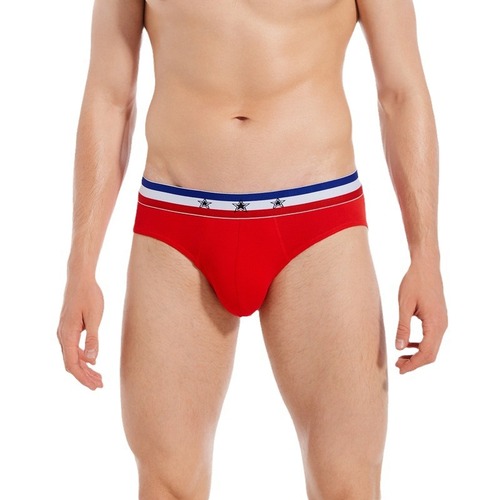 Sinopec New Men's Underwear Foreign Trade Fine Cotton Sport Loose Breathable Low Waist Comfortable Slim Teenager Triangle Pants 