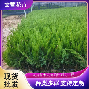 С���ؾG��������ľ����������·�G����ľ����С����С�����l