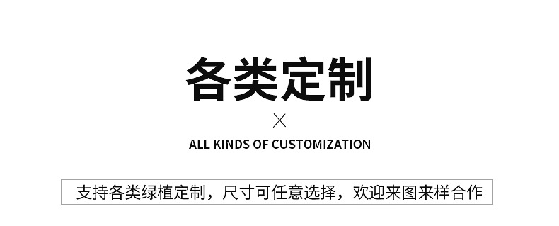 仿真盆栽内页修改_24