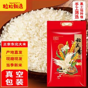 �峣���������5��2026�ꮔ�����׃��|�r���״u�����������l