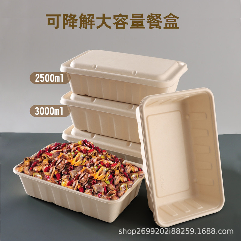 パルプ箱 大容量 サトウキビパルプ包装箱 大型 2500ml 3000ml シーフードテイクアウト弁当箱|undefined