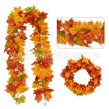 F؛＾~ٗl SչcbܛپGֲ жf}~