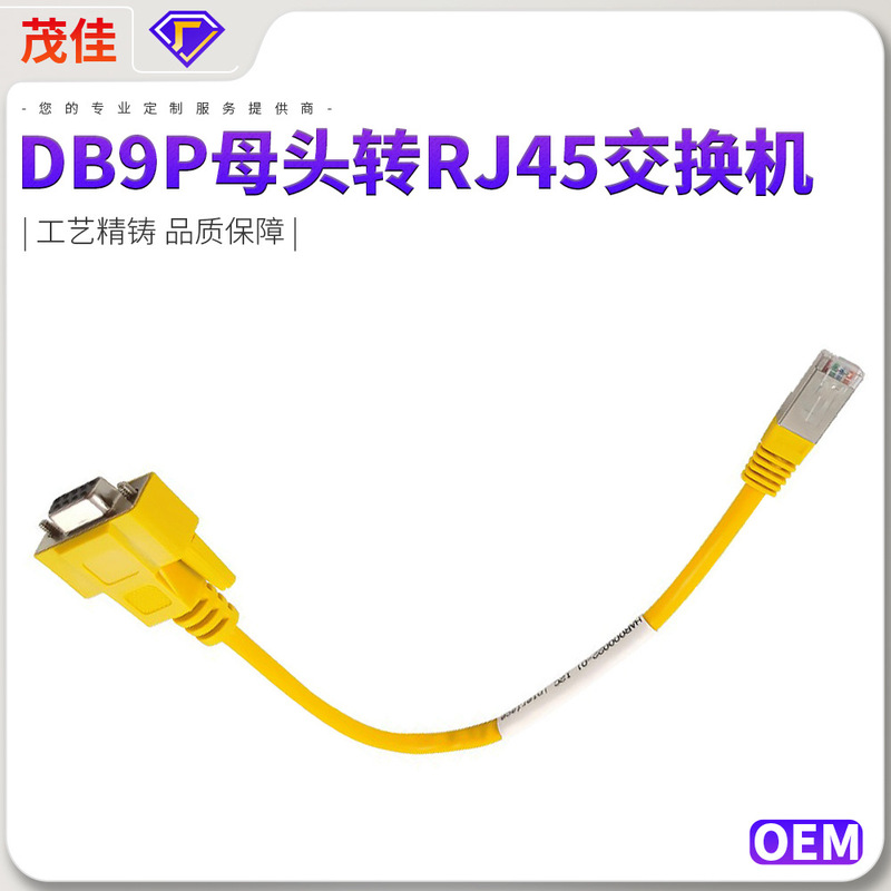Customized Db9P Female to Rj45 Switch Router Rs232 Network Cable to Serial Port Connection Cable