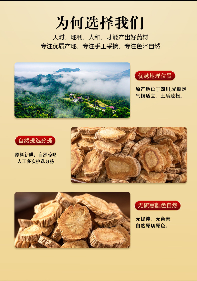 Fang Feng Dried Saposhnikovia Root 100g Canister Traditional Chinese Herb for Decoction and Tea quality and texture