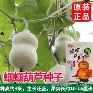 �X�X���J�N�� ���J�N�� �^�pʳ��ԭ�b��Ʒ�߲˷N�Ӵ�ȫ���l���l