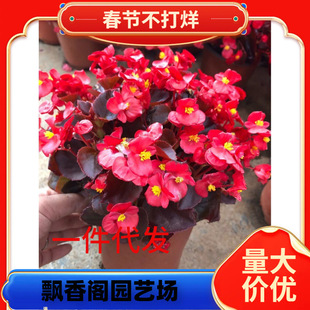 ���Ļ��ļ�С�~�t���Ļ��_���ļ����Ի��ܻ����L�����҃Ȼ���