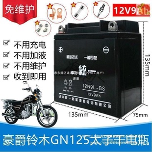 Haojue Suzuki Gn Prince Hj125-8 Men's Motorcycle Maintenance-Free Battery 12V9A Dry Battery Suipan