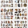 100 наклеек, коробка для хранения