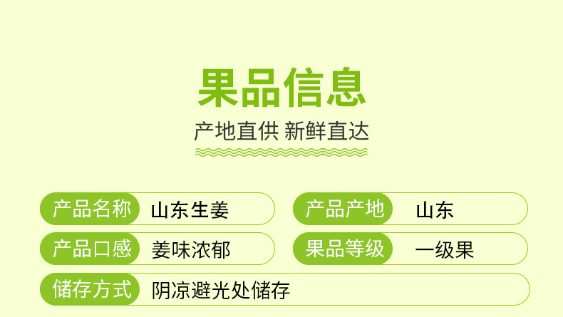 山东-生姜_02.jpg
