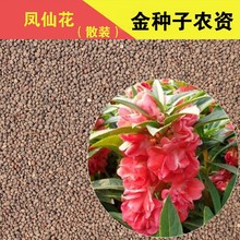 �ļ��Nֲ�Gֲ���� �P�ɻ��N�� ���� ���ݷN��ָ�׻� ��ɫ��