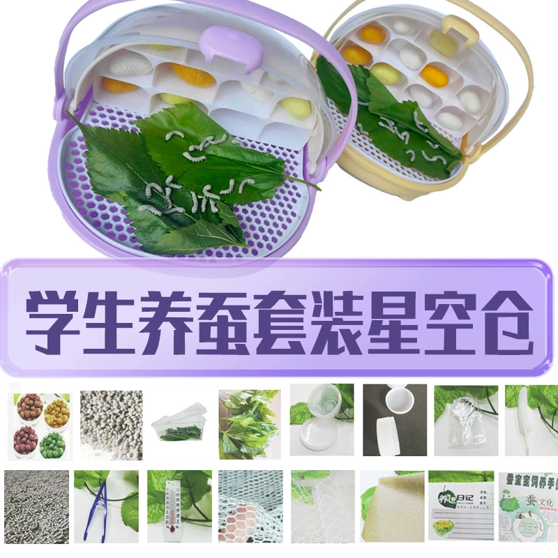 Дети-шелкопряды выращивают молодых шелкопрядов, живые дети наблюдают за насекомыми, экспериментальные материалы, прямые продажи, оптовая продажа, свежие листья шелковицы