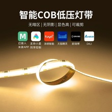 led灯带已接入米家APP灯带led灯条客厅家用自粘低压灯带氛围灯