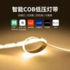 led灯带已接入米家APP灯带led灯条客厅家用自粘低压灯带氛围灯|ru