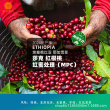 �������ȁ�Ү��ɯ�˼t���Ҽt��̎����MPC����Ʒ��������24�®a��