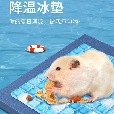 仓鼠冰垫夏天降温板冰窝兔子凉席金丝熊专用散热避暑神器宠物冰屋