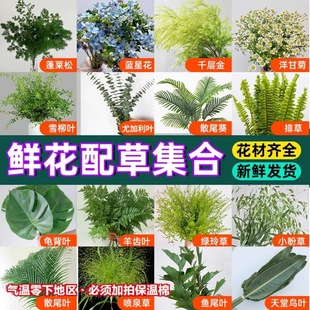 ��ϸ���r�����~��Y�~�������~�d���~��ɽ���X�����~�r�л��