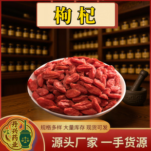 �����ؼ����500g���b��y2025��؛�t����������a�ݾ�������Ӳ�