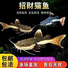 ��ؔ؈�~����L�tβ؈�����T�~�׌ӟᎧ�^�p�~���͵�ˮ�~���B