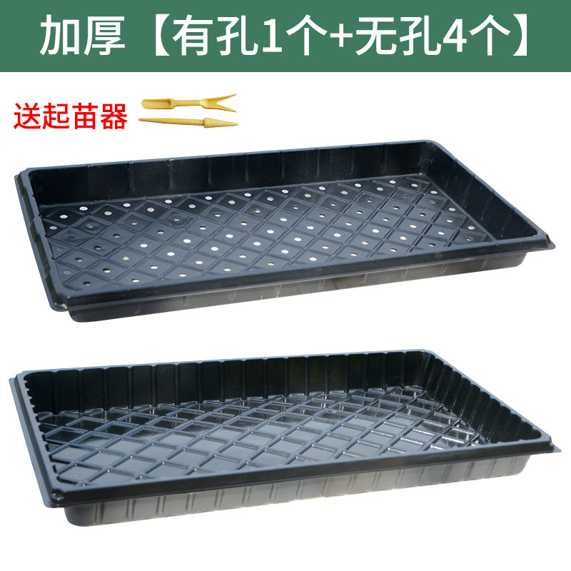 培養ボックスポット苗、増粘挿し木、多肉植物栄養ボウル、苗トレイ、スプラウトボックス、植栽穴トレイ、プラスチック多肉植物|undefined