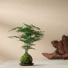 ����̦�\������՚�ˮ���׻���B��ʽ�k�����辰΢���^�Gֲ�҃�