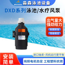 DXD系列泳池水疗风泵按摩池母婴按摩浴缸池风泵泡泡机泳池供气泵