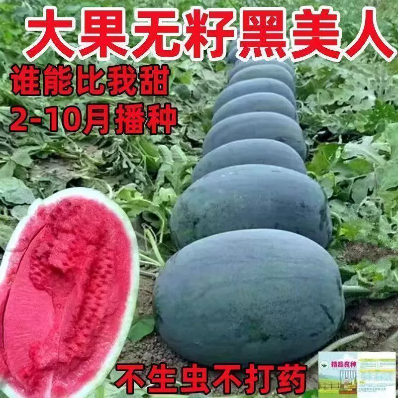 Супер сладкий большой фруктовый черный красавица семена арбуза без косточек семена арбуза с черной кожей красный куколка гигантский арбуз фрукты семена