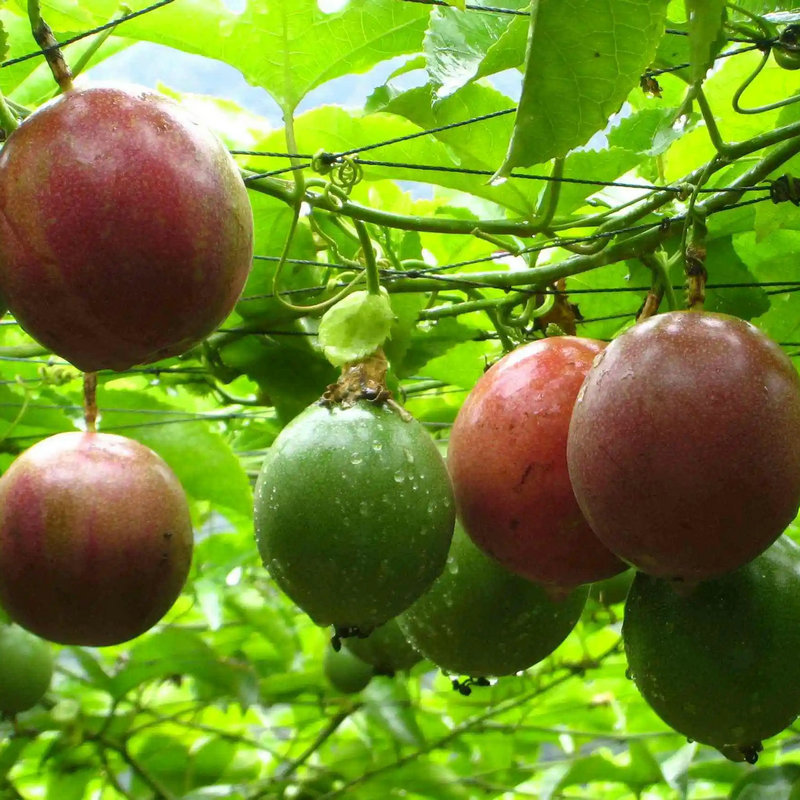 微信图片_20220426155005