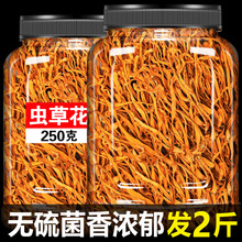 �x�ݻ���؛�ٷ���Ş���Ӽ�x�ݽ��x���x��������Ǿ����ϰ����u��