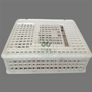 ɽ�|�S�ҹ��� ���u���������D�� Ҏ��r�� Դ�^�S��1������