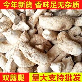 ��؛�p���㹽�_���㹽�ȸ�؛���l��Ӱ����W���r�����خa������