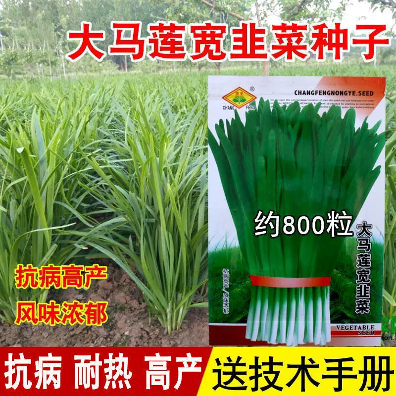 Семена крупного лука-порея для круглогодичного выращивания овощей в горшках, семена крупнолистового высокоурожайного лука-порея для сельскохозяйственных посадок.