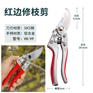 ��݆��֦����֦��@�ֈ@ˇ����sk5�����֦��ʡ����֦����V8V9
