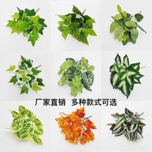 �羳����7�^PvcС�����G�}�~�ع��~�ٻ��Gֲ����ƺ���bS��ֱ�N