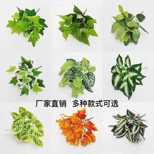 �羳����7�^PvcС�����G�}�~�ع��~�ٻ��Gֲ����ƺ���bS��ֱ�N