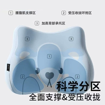 Cushion Memory Foam Cartoon Bear | Waist support