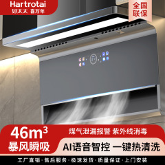 Good Wife Xi Wannian スマートホームキッチン大吸引レンジフードモーターレンジフードガスストーブセット