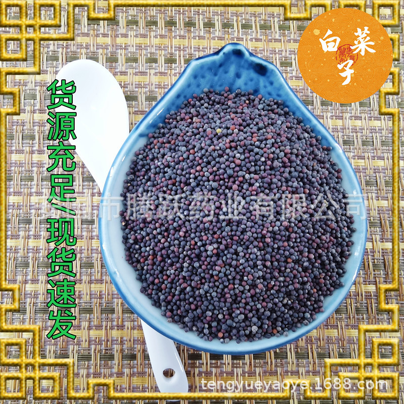 Dried Chinese Cabbage Seed Bai Cai Zi 1kg Bag Traditional Herbal Ingredient quality and texture