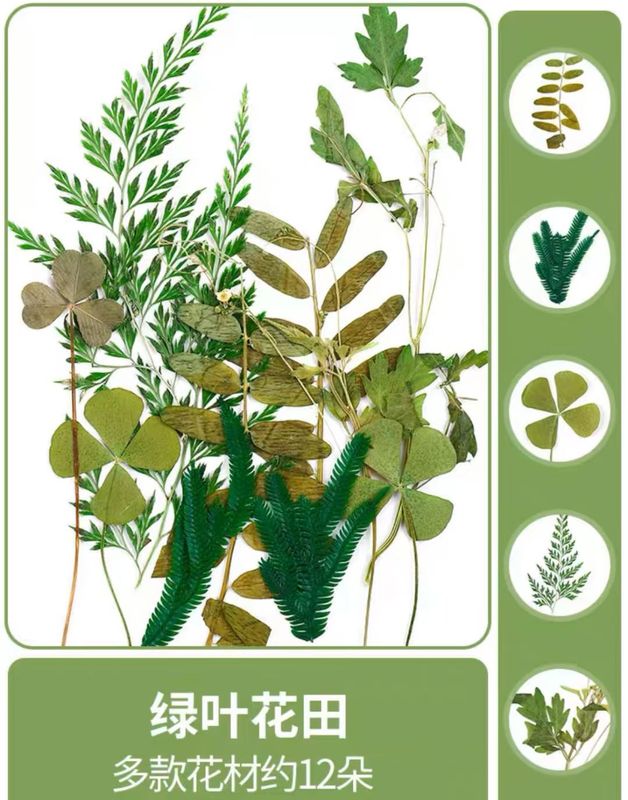 古法製紙術製紙枠パルプ児童手作りdiy材料包花草紙模造紙枠幼稚園玩具|undefined