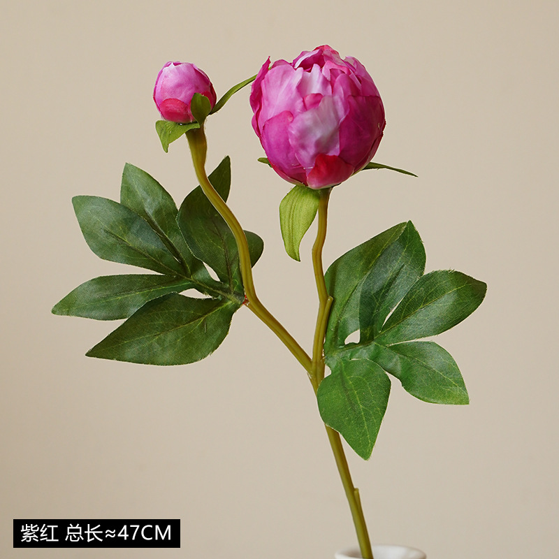 자주색✧