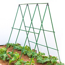 �S�����ټܶ��ǼܗU���t���ܷN���߲˴����Ӽ�ֲ��֧�ΗU����䓹�