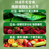 生长魔励 Nutritional solution universal fertilizer potted plant hydroponic flower polychide fertilizer fertilizer fertilizer