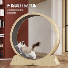 猫跑步机宠物猫咪健身滚轮运动跑轮猫爬架抓板转轮玩具代发亚马逊