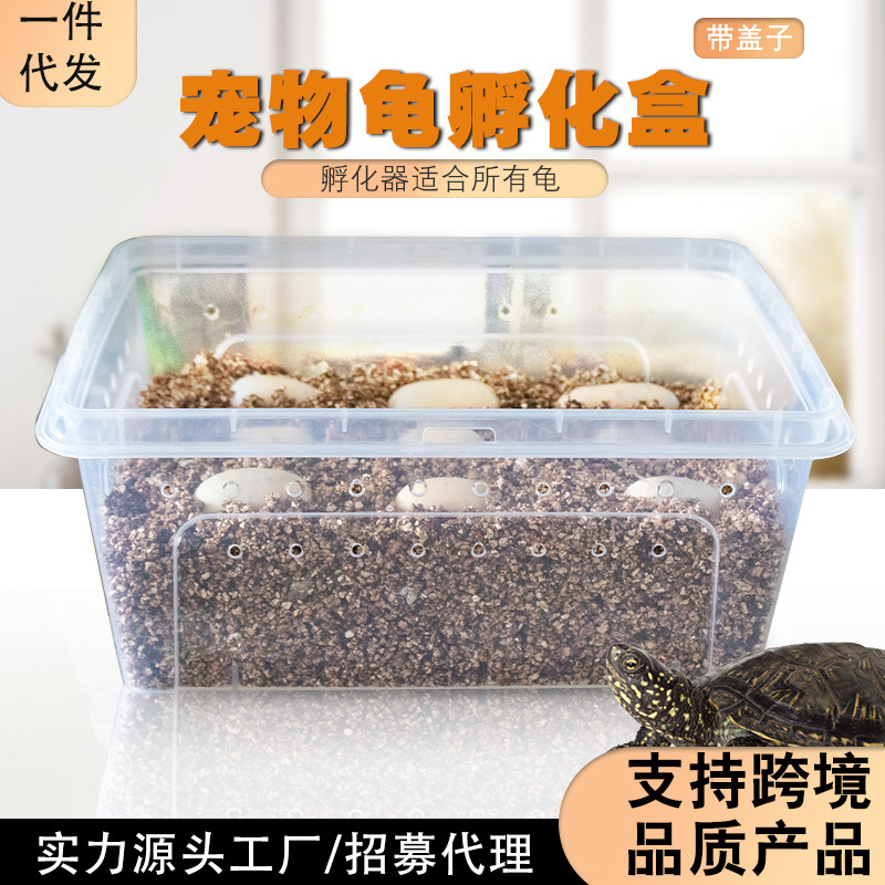 Full set of turtle egg incubator breeding special gold silvery white vermiculite lizard guard palace yellow edge musk turtle razor turtle