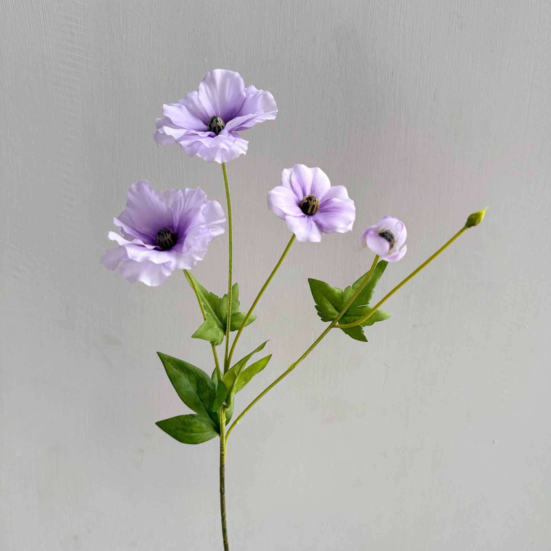보라색