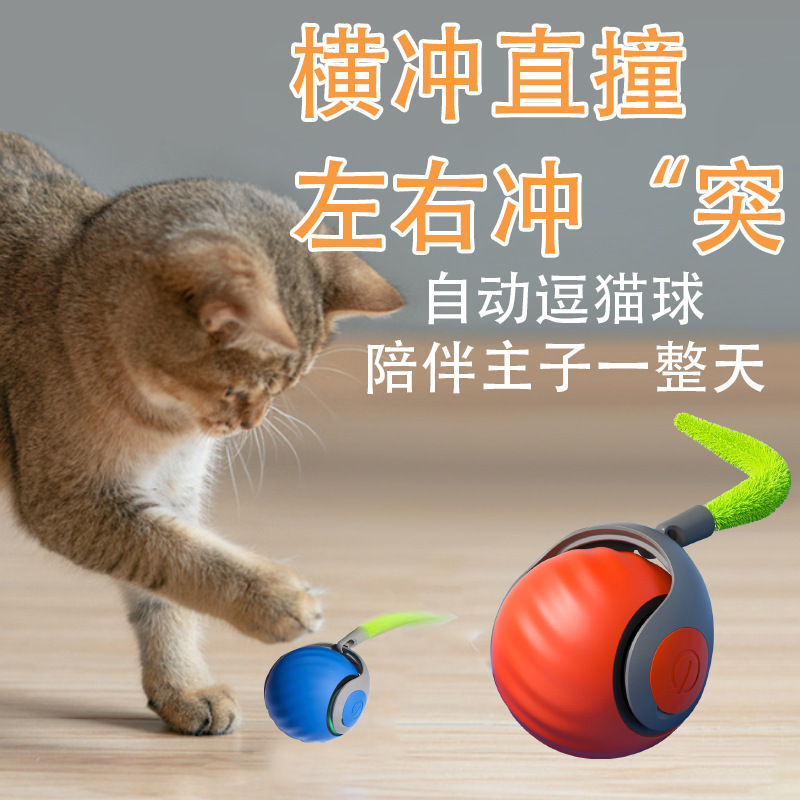 애완동물 유인력 충전식 고양이 장난감 공, 고양이 막대, 전동 스마트 고양이 공, 애완동물 장난감, 새끼 고양이, 고양이, 새끼 고양이용