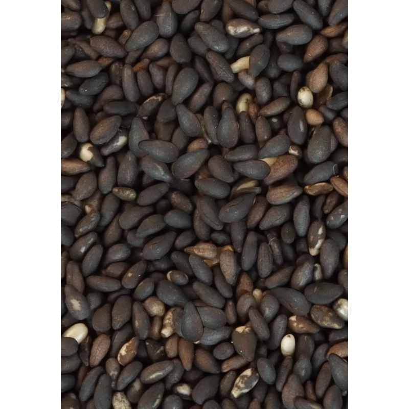 Black sesame seeds White sesame bottled combination Farm new goods Fry Sesame seeds 504g Sesame seed not raw