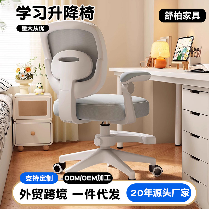 Computer Chair Primary School Student Learning Writing Desk Chair Adjustable Child Seat Sedentary Comfortable Home Lifting Chair